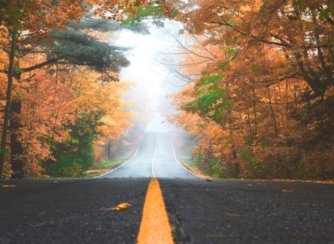 2019立秋心情感受朋友圈说说 立秋开心感想配图