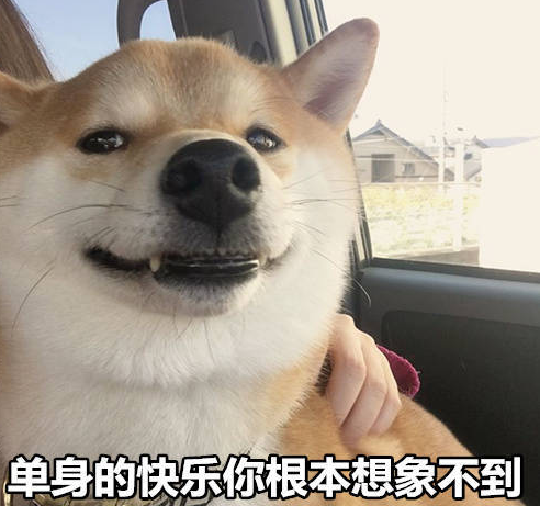 七夕单身朋友圈说说心情短语 七夕单身狗发的说说配图