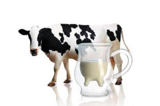 高钙奶多大孩子能喝 孩子喝高钙奶好吸收吗