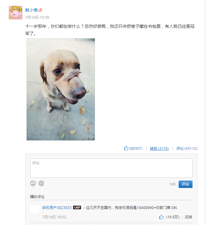 亲爱的热爱的男女主网易云音乐账号 亲爱的热爱的鱿小鱼微博账号