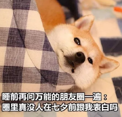 七夕快到了还是一个人 七夕快到了的幽默说说