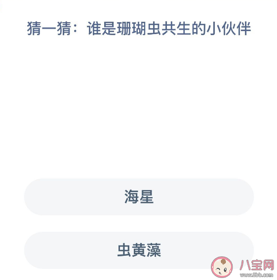 谁是珊瑚虫共生的小伙伴 蚂蚁森林神奇海洋12月13日答案