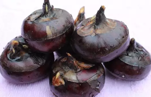 孕妇吃马蹄容易流产吗 孕妇吃荸荠是寒性水果吗