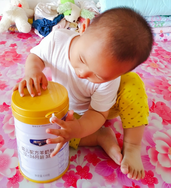 美羚羊奶粉怎么样 美羚羊奶粉试用测评