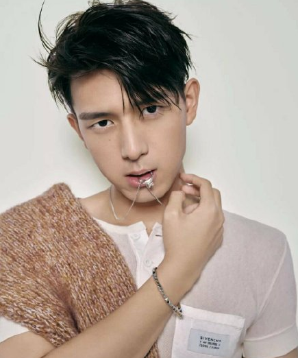 李现电子刊发售 李现电子刊购买指南