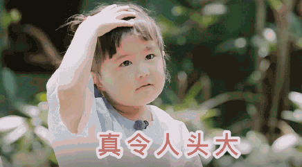 我们长大了大毛二毛个人资料 大毛二毛表情包合集 我们长大了大毛二毛个人资料 大毛二毛表情包合集