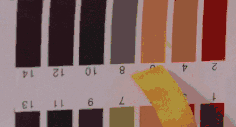 宝宝洗手液什么牌子好 5款儿童洗手液对比评测