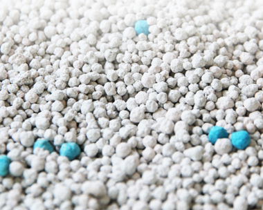 怎么区分猫砂是什么垃圾 不同材料的猫砂是什么类型的垃圾