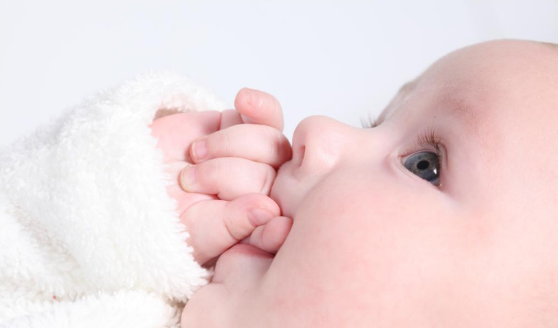 宝宝吃什么鱼比较好 宝宝吃鱼的怎么选