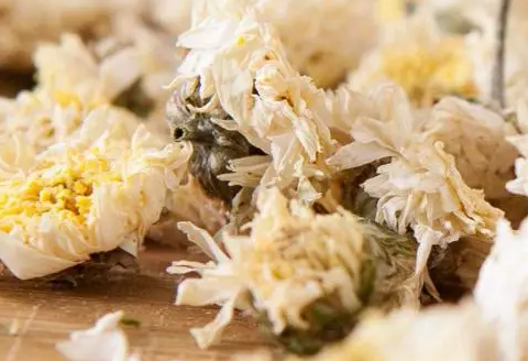 贡菊和胎菊哪个更去火 贡菊和胎菊哪个凉性大