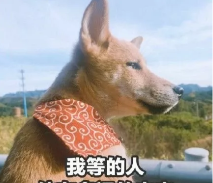 今天只是周三搞笑说说 今天只是周三心情句子