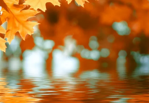 秋天来了朋友圈经典说说2019 秋天来了的配图文字 秋天来了朋友圈经典说说2019 秋天来了的配图文字