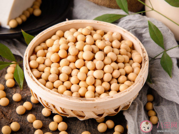 喝牛奶吃大豆会导致未成年人性早熟吗 豆奶与牛奶营养有何不同