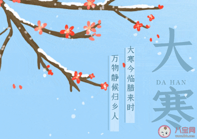 一年二十四节气中的最后一个节气是 蚂蚁庄园1月20日答案最新