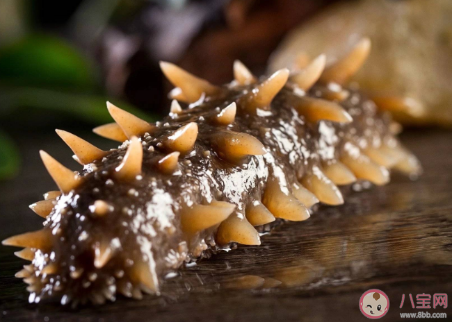 以下哪种海洋动物能用排泄器官呼吸 ​神奇海洋1月11日正确答案