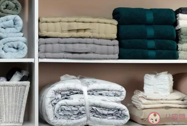 冬天使用电热毯哪种操作更安全 蚂蚁庄园1月31日答案 冬天使用电热毯哪种操作更安全 蚂蚁庄园1月31日答案