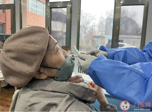 吸入用疫苗与鼻喷式疫苗有何区别 哪种疫苗接种保护效果更好 吸入用疫苗与鼻喷式疫苗有何区别 哪种疫苗接种保护效果更好