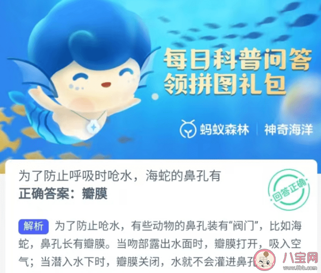 为了防止呼吸时呛水海蛇的鼻孔有什么 神奇海洋1月10日正确答案 为了防止呼吸时呛水海蛇的鼻孔有什么 神奇海洋1月10日正确答案