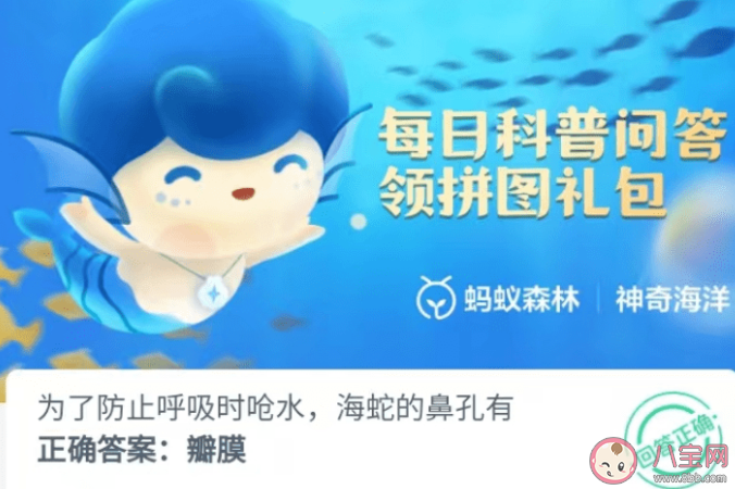海蛇的鼻孔有什么防止呼吸呛水 神奇海洋1月10日答案最新 海蛇的鼻孔有什么防止呼吸呛水 神奇海洋1月10日答案最新