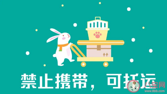 哪些年货坐火车要限量携带 乘火车禁止限量携带物品清单 哪些年货坐火车要限量携带 乘火车禁止限量携带物品清单