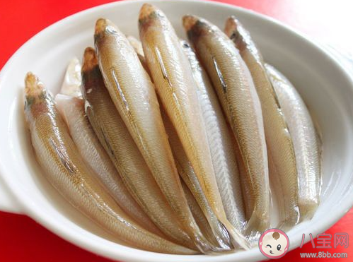 沙丁鱼之所以叫这个名字是因为 神奇海洋2月2日答案 沙丁鱼之所以叫这个名字是因为 神奇海洋2月2日答案