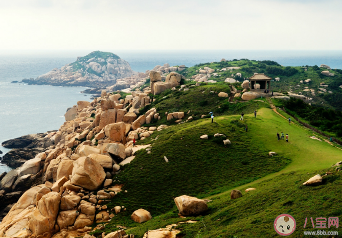 蚂蚁森林我国首批自然海洋保护区是哪里 神奇海洋3月16日答案