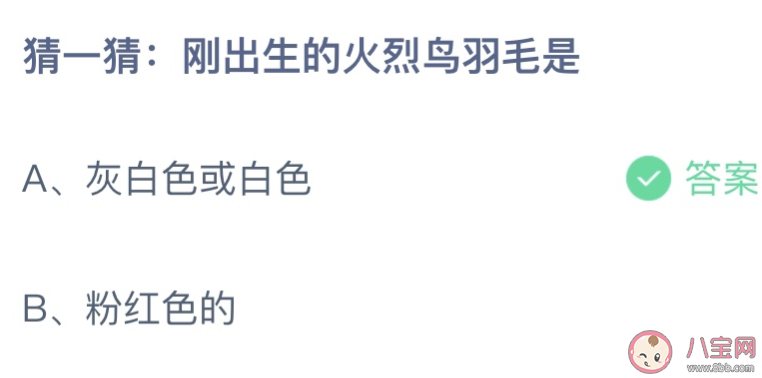 刚出生的火烈鸟羽毛是 蚂蚁庄园3月17日答案最新