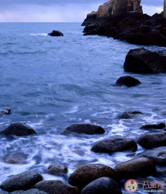 蚂蚁森林我国首批自然海洋保护区是哪里 神奇海洋3月16日答案