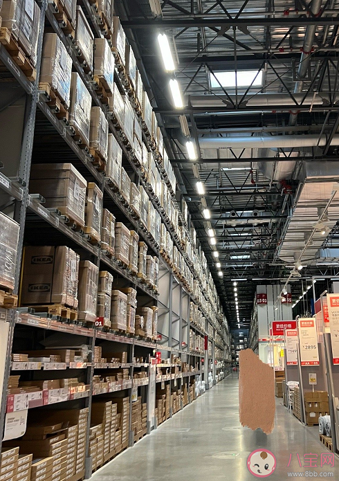 为什么网红都爱去山姆和宜家拍照 应该禁止拍照吗