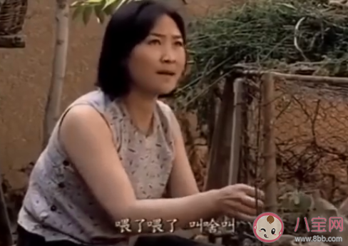 兔子喂了吗是什么梗 兔子喂了吗梗的出处是什么