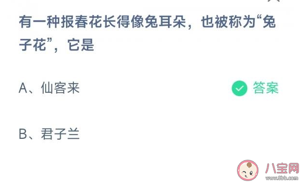 有一种报春花长得像兔耳朵也被称为兔子花是什么植物 蚂蚁庄园3月18日答案