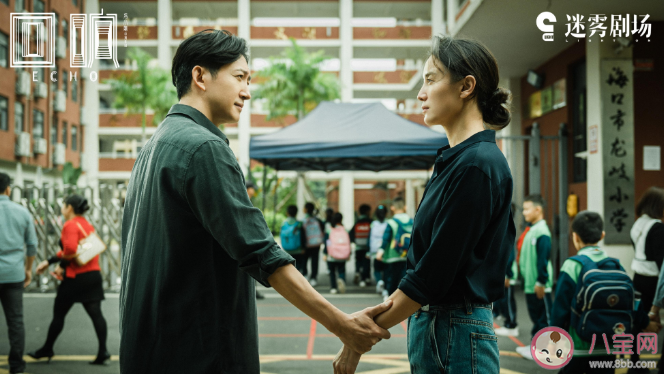 《回响》追剧日历 《回响》有哪些看点