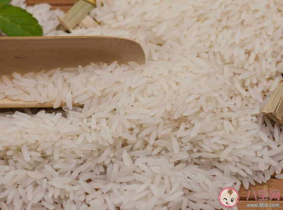 如何辨别真假泰国香米2023 泰国香米的造假方式有哪些 如何辨别真假泰国香米2023 泰国香米的造假方式有哪些