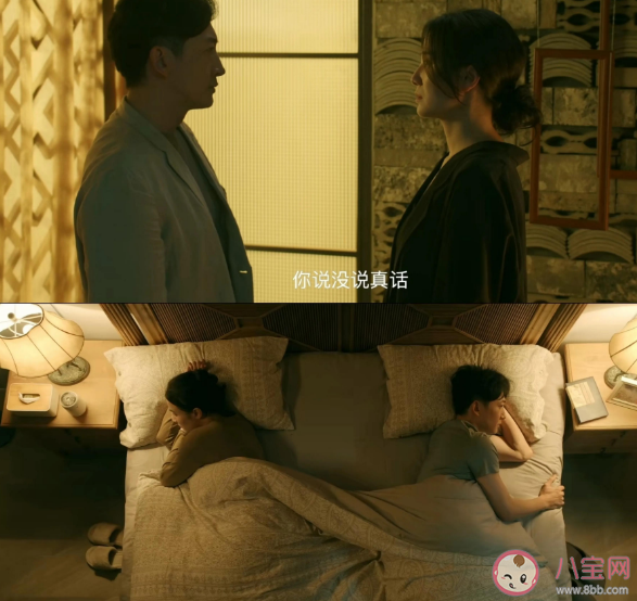 《回响》追剧日历 《回响》有哪些看点