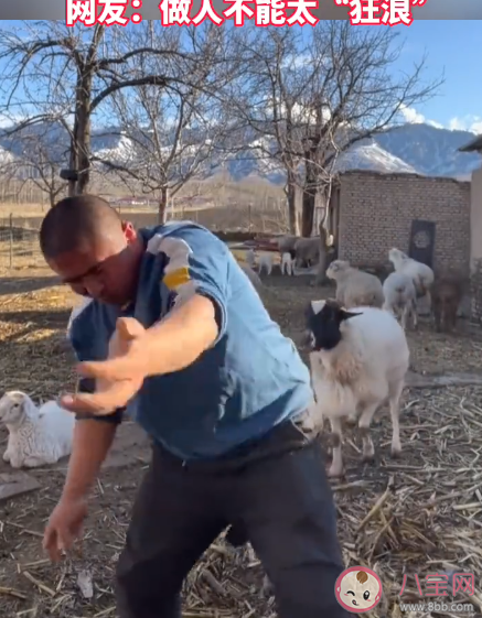 男子镜头前嗨舞被羊顶翻是怎么回事 羊为什么会顶人 男子镜头前嗨舞被羊顶翻是怎么回事 羊为什么会顶人
