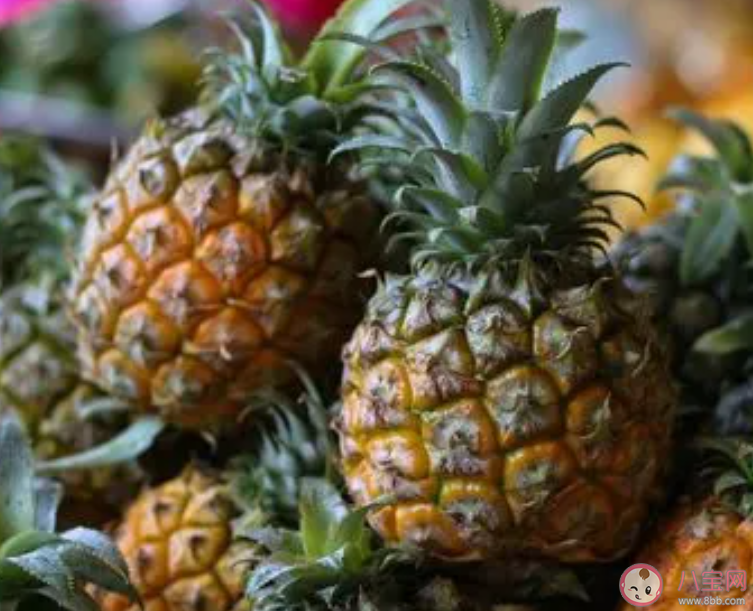 菠萝为啥要用盐水泡一下再吃 怎样挑选菠萝
