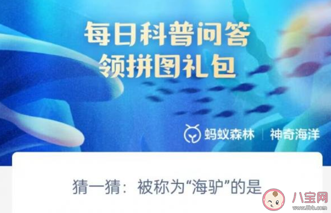 猜一猜被称为海驴的是 神奇海洋4月24日答案