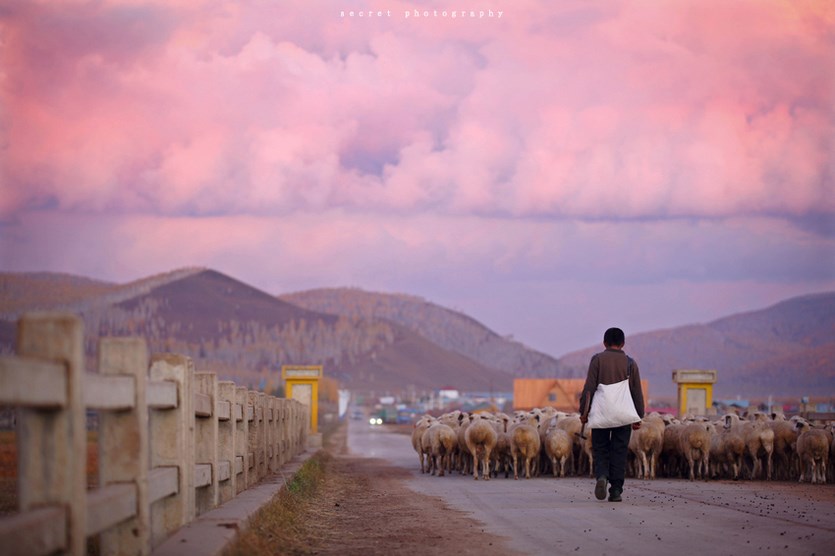 不结婚,不买房的躺平式观念,你支持吗? 不结婚 躺平 第1张 不结婚,不买房的躺平式观念,你支持吗? 不结婚 躺平 第1张