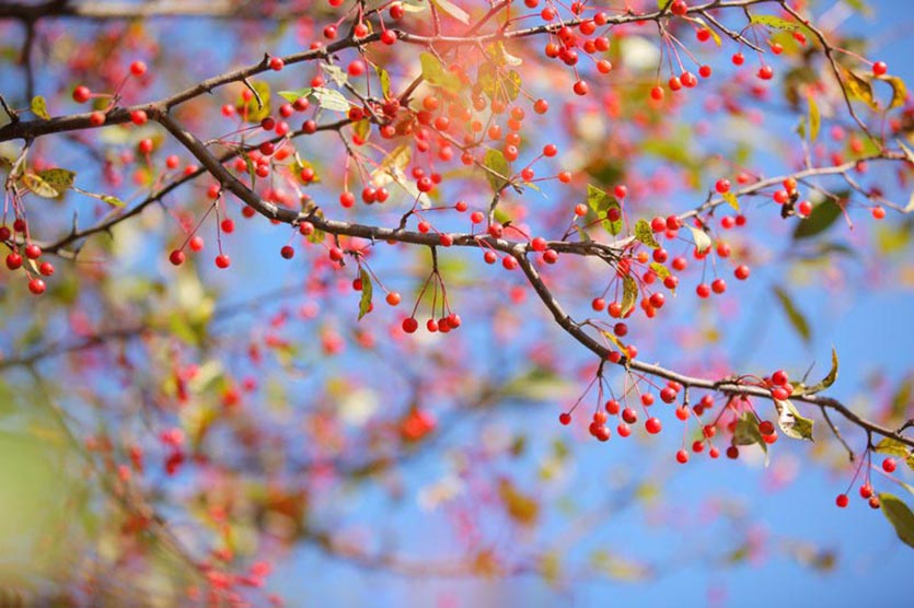 对啊,我被包养啦 包养 第1张 对啊,我被包养啦 包养 第1张