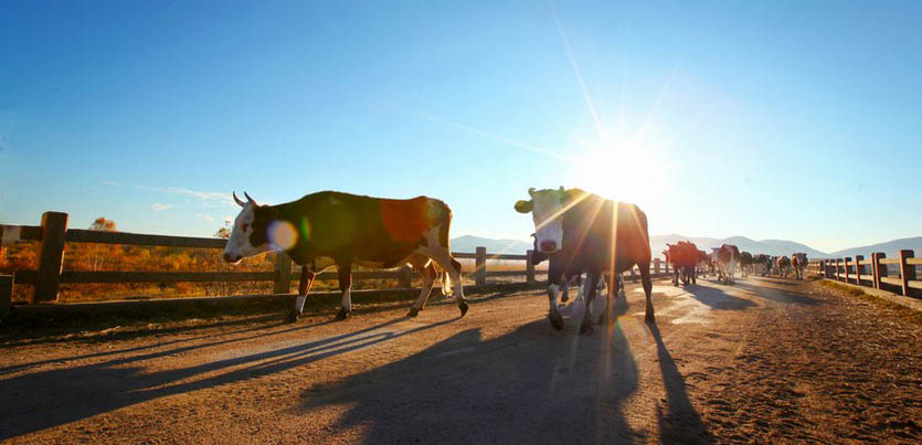 女人50岁以后,婚姻遭遇“说不出的痛”,该不该将就和忍? 情感解答 第1张 女人50岁以后,婚姻遭遇“说不出的痛”,该不该将就和忍? 情感解答 第1张