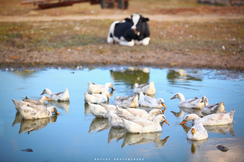 事业低落加妻子性趣冷淡,索然无味 婚姻 怀孕 性冷淡 第1张 事业低落加妻子性趣冷淡,索然无味 婚姻 怀孕 性冷淡 第1张