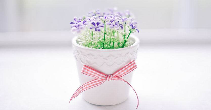 异地夫妻的忧虑 情感解答 第1张 异地夫妻的忧虑 情感解答 第1张