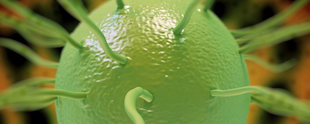 惊！握手也会传染梅毒？