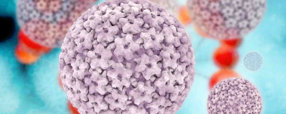 尖锐湿疣有哪些早期症状？