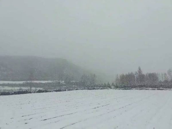 积雪一尺多厚！河北1地发布暴雪预警→