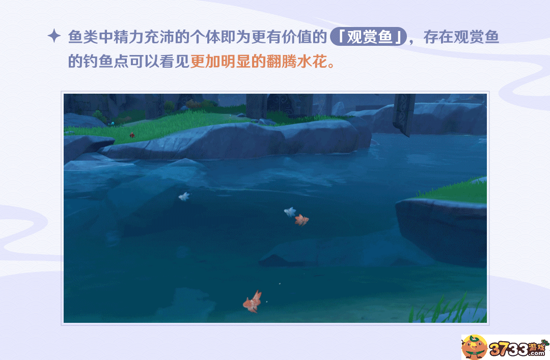 钓鱼玩法