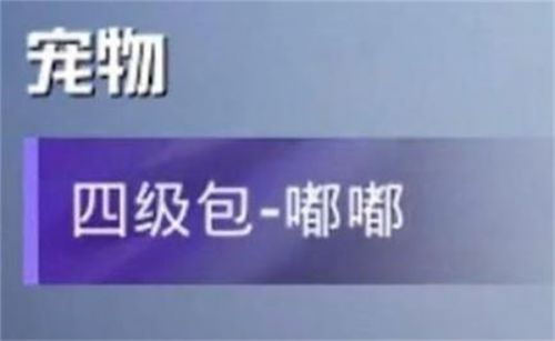 和平精英四级包嘟嘟有什么用?四级包嘟嘟作用及获取方法一览 和平精英四级包嘟嘟有什么用?四级包嘟嘟作用及获取方法一览
