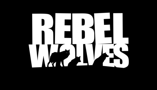 《巫师3》多位主创成立新工作室:将开发3A级CRPG大作,游戏插画公布 《巫师3》多位主创成立新工作室:将开发3A级CRPG大作,游戏插画公布