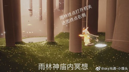 雨林的神庙在哪里?光遇2月28日季节任务一览