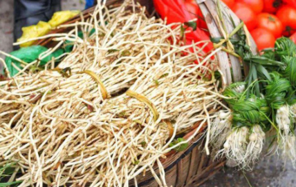 怎么去除鱼腥草的鱼腥味1